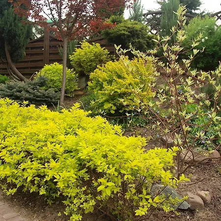 Smart2stay Pod Lipami 3* Warszawa