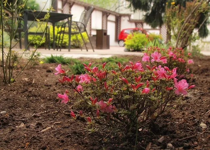 Konukevi Smart2stay Pod Lipami Varşova