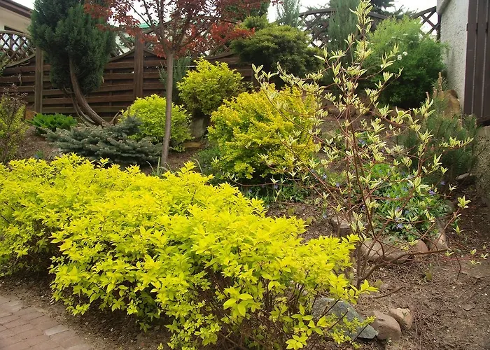 Smart2stay Pod Lipami 3* Varşova