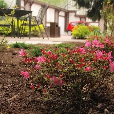 Pensionat Smart2stay Pod Lipami Warszawa